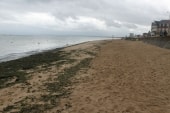 Lion-sur-mer